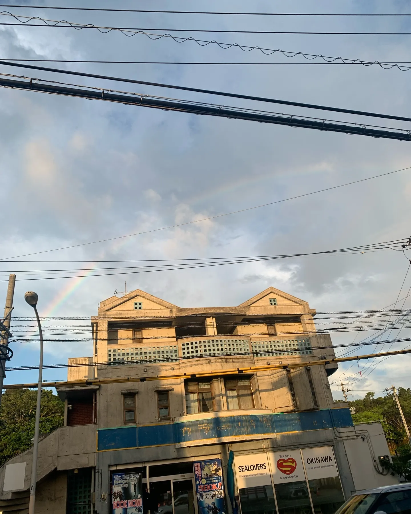 8月もよろしくお願いします🌺